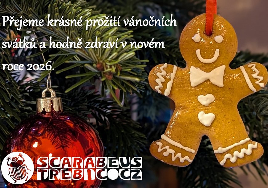 PF 2026 - úvodní obrázek